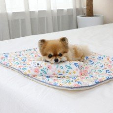 이츠독 인견 쿨링 매트 봄날의곰 M