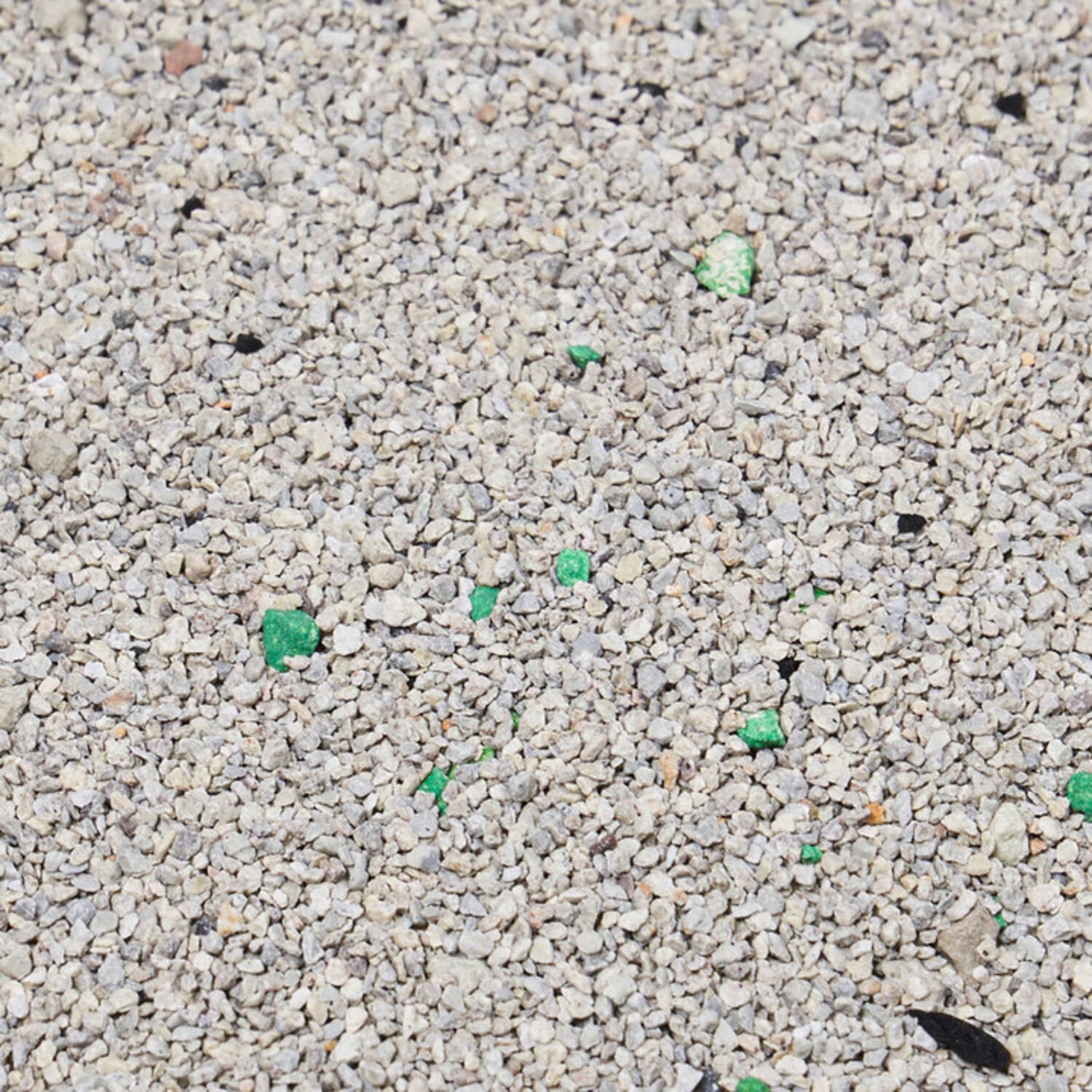 코스믹캣 해피데이 소프트 극세입자 유향 6kg x 3개