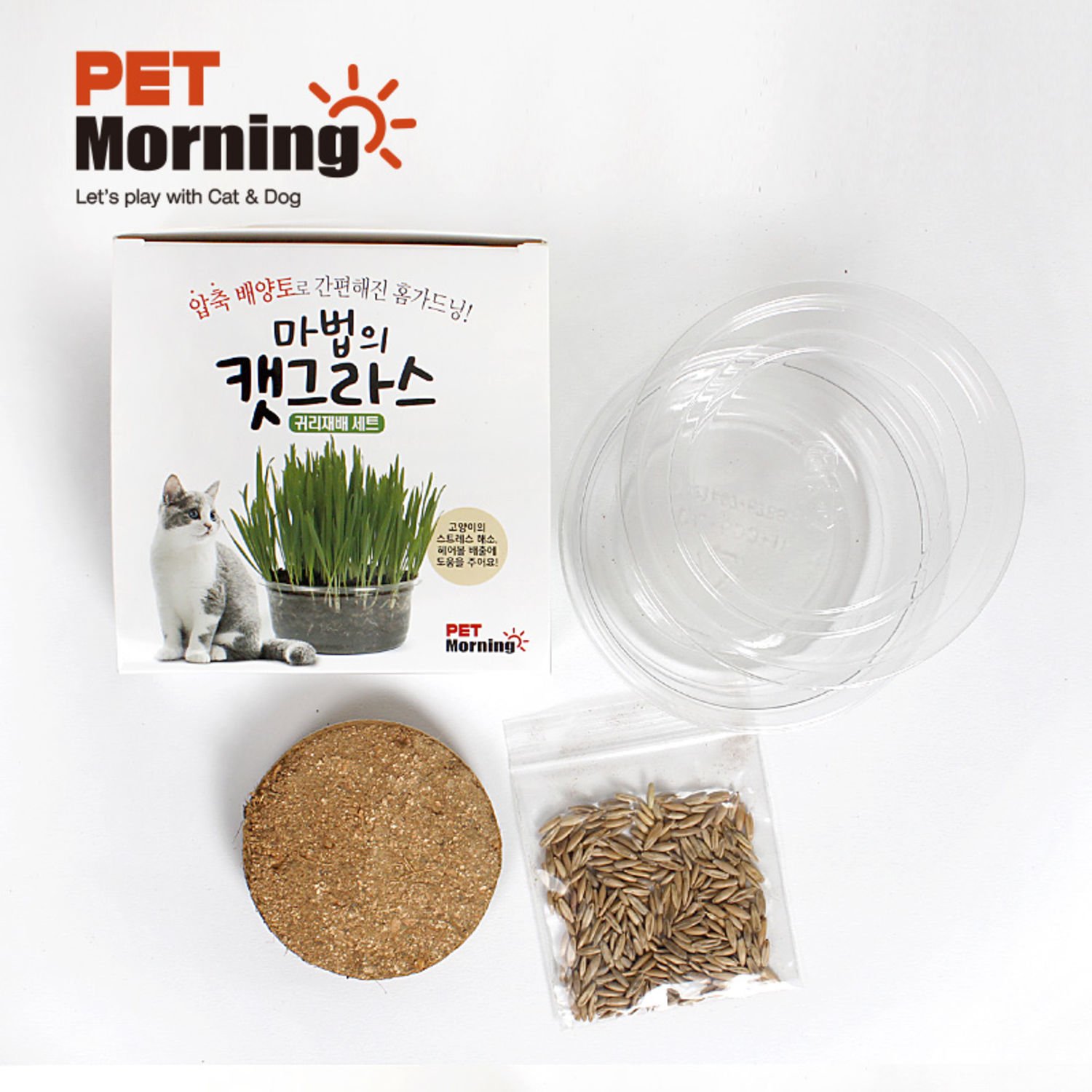 펫모닝 마법의 캣그라스 귀리 재배세트 투명화분