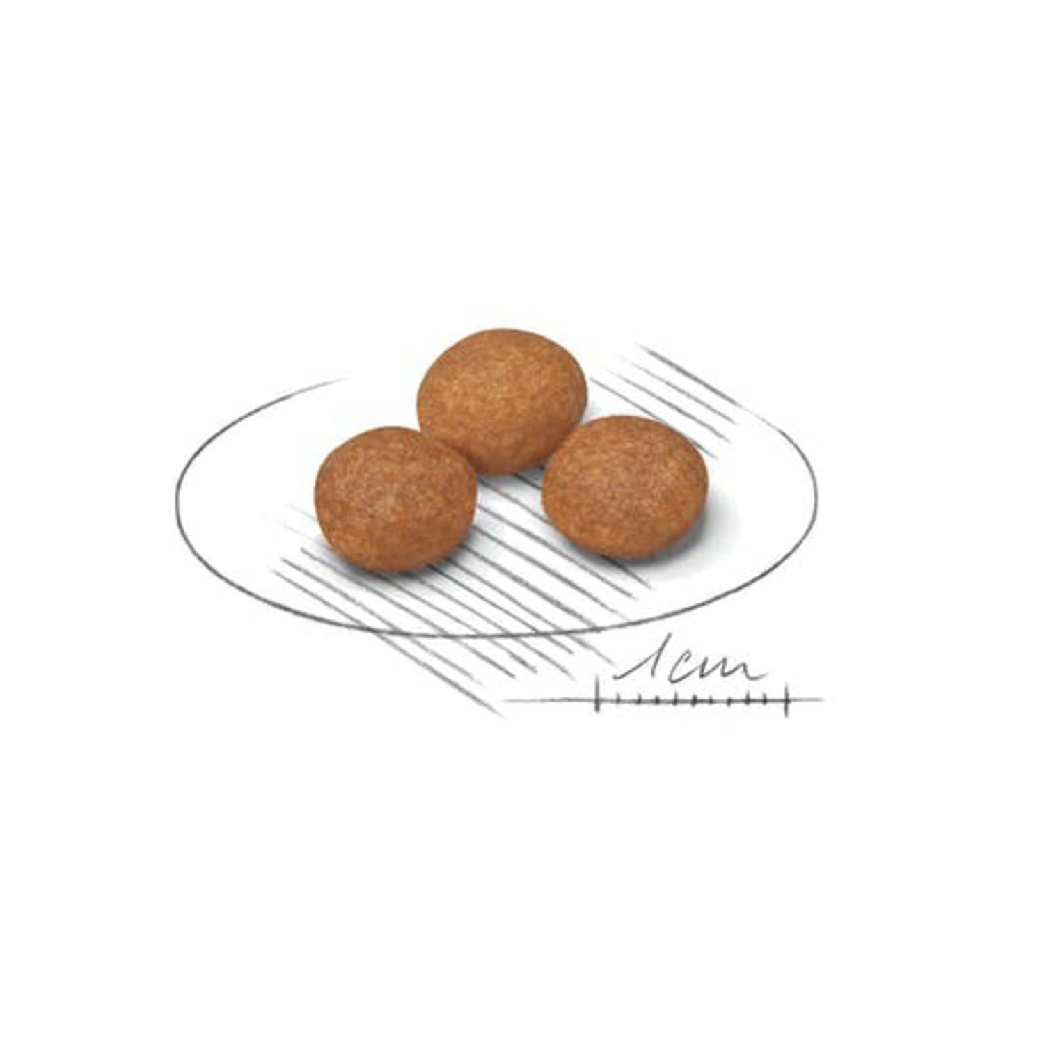 로얄캐닌 강아지사료 엑스스몰 어덜트 8+ 3kg