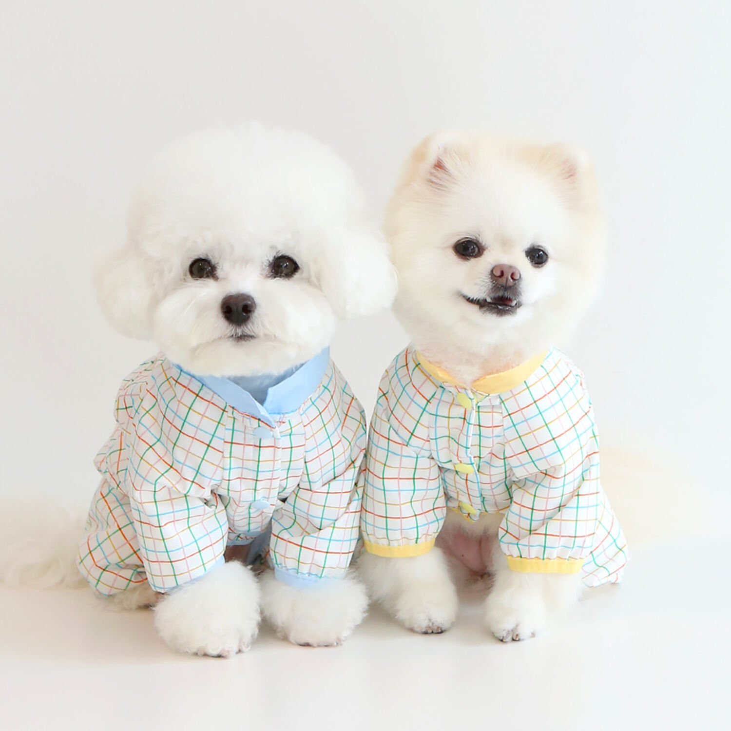 이츠독 젤리곰 판쵸 올인원 우비 옐로우 S