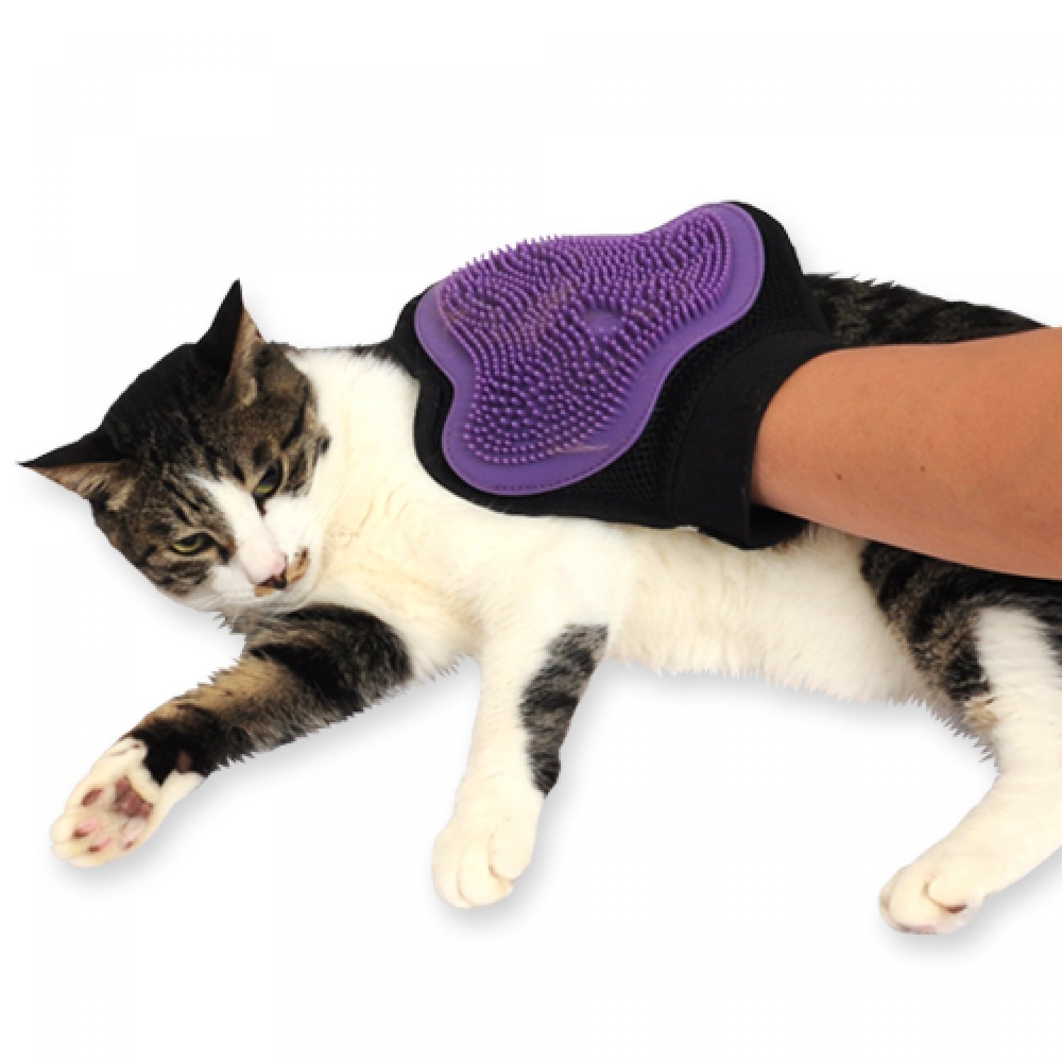 수퍼펫 러브러브 글러브