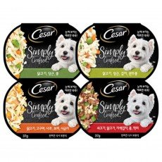 시저 심플리 캔 37g 4종 콤보
